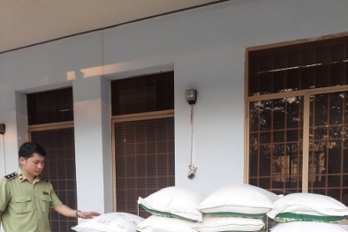 Thu mua lượng lớn đường cát không rõ nguồn gốc xuất xứ tuồn ra thị trường