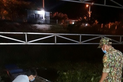 Liên tiếp phát hiện số lượng lớn lợn nhập lậu trái phép