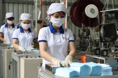 Cắt giảm, đơn giản hóa quy định liên quan đến hoạt động kinh doanh