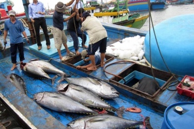 Tiêu thụ hải sản khó khăn, Bộ NN&PTNT đưa ra khuyến cáo