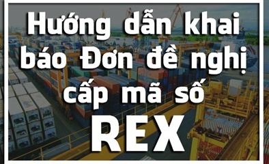 Doanh nghiệp xuất khẩu đi châu Âu cần khẩn trương đăng ký mã số REX
