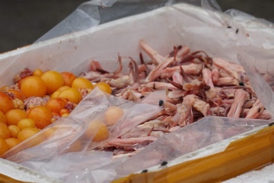 Đột nhập 'kho chứa' đặc sản lưỡi vịt