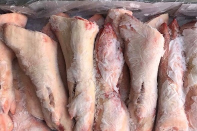 Sự thật rùng rợn về nguồn gốc móng giò đông lạnh