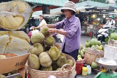 Sầu riêng giảm giá mạnh, làm sao để chọn được sản phẩm đảm bảo chất lượng?
