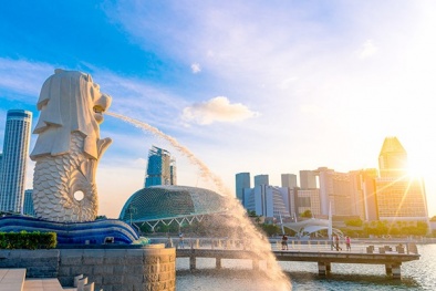 Doanh nghiệp xuất khẩu sang Singapore cần đảm bảo nguồn cung với mức giá ổn định 