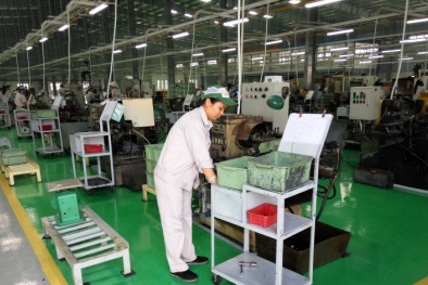 Một nữ cổ đông lớn Công ty Cổ phần Xích líp Đông Anh bị xử phạt