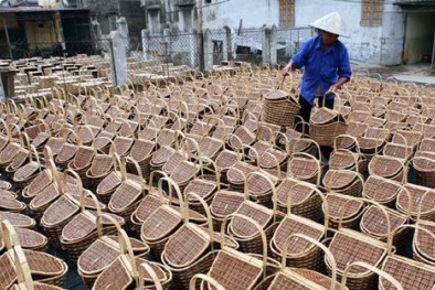 Hỗ trợ doanh nghiệp truy xuất nguồn gốc hàng hóa, thúc đẩy xuất khẩu
