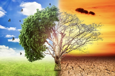 ISO 14064: Giải pháp giải quyết vấn đề biến đổi khí hậu