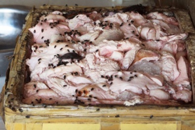 Lòng lợn không rõ nguồn gốc: Nhìn thôi đã rùng mình