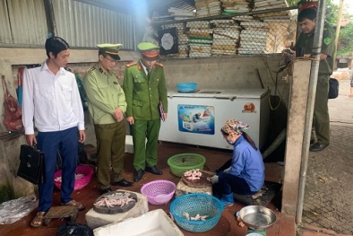 450kg thịt lợn đã bốc mùi hôi thối vẫn 'cố tình' nhập lậu về bán kiếm lời