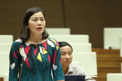 Lo ngại biến tướng, nhiều đại biểu quốc hội muốn cấm đòi nợ thuê hoạt động 
