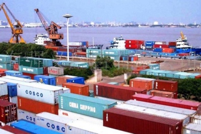 'Gỡ vướng' về giấy chứng nhận xuất xứ giữa Việt Nam và Ấn Độ