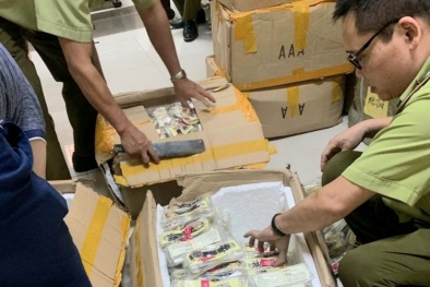 Lô hàng của Công ty TNHH Blue Kinh Bắc có dấu hiệu giả mạo, trị giá hàng tỷ đồng