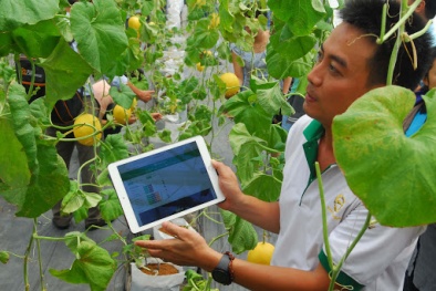 Đẩy mạnh đổi mới sáng tạo giúp nâng cao năng suất chất lượng nông nghiệp Việt Nam