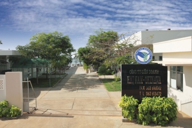 ISO 31000:2018 'bạn đồng hành' cùng Công ty TNHH Hải Nam Okinawa