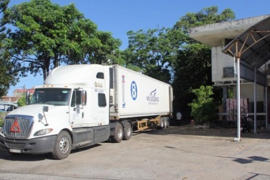 Phát hiện xe container ngụy trang hàng trăm thùng bánh kẹo không nhãn mác 