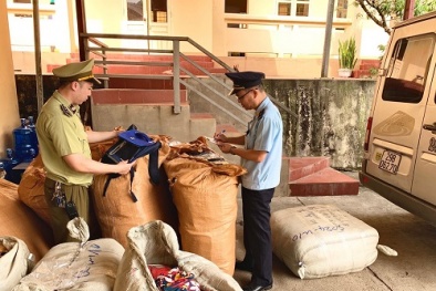 Sản xuất nước ngọt đóng gói sẵn mang nhãn hiệu ARICO có dấu hiệu vi phạm