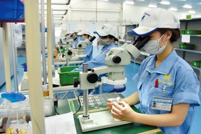 Thu hút FDI: Tiêu chuẩn giúp sàng lọc các nhà đầu tư uy tín 