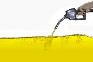 Dự thảo tiêu chuẩn trong phân tích thành phần dầu diesel sinh học