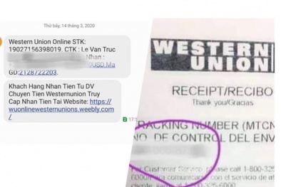 Hàng chục nghìn tấn vải thiều Bắc Giang tưng bừng xuất ngoại và tỏa đi khắp nước