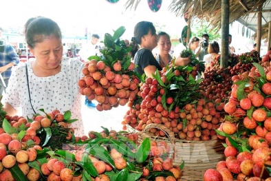 Vải thiều 'tiêu chuẩn quốc tế' không đủ phục vụ xuất khẩu