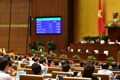 Quốc hội phê chuẩn Hiệp định thương mại tự do Việt Nam - EU