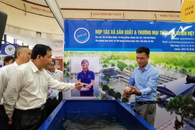 Kết nối cung- cầu, thúc đẩy tiêu thụ cá tra tại thị trường trong nước