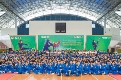 Khai mạc giải Hội khoẻ Phù Đổng môn vovinam Việt Võ Đạo- Cup Nestle Milo lần thứ 3 