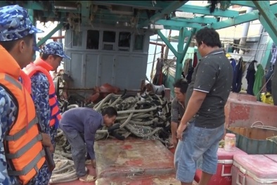 Ngang nhiên mua bán, vận chuyển 25.000 lít dầu DO trái phép