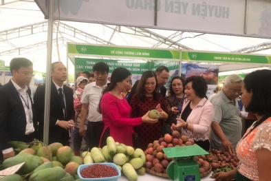 Tuần hàng tại Hà Nội: Tạo đầu ra ổn định cho trái cây, nông sản các địa phương