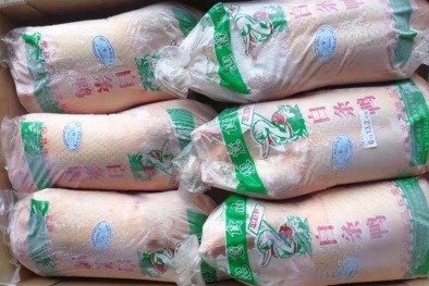 Đổ xô mua thịt vịt đông lạnh Trung Quốc giá rẻ: Cảnh báo nguy cơ lây lan dịch bệnh