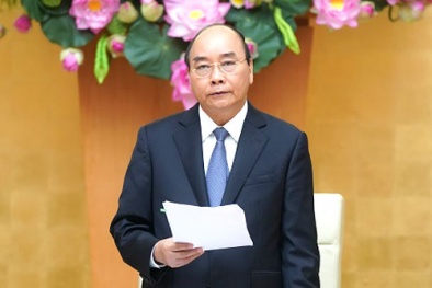 Thủ tướng gửi thư chúc mừng nhân Ngày Báo chí cách mạng Việt Nam