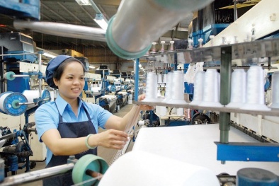 Doanh nghiệp dệt may cần nắm rõ yêu cầu về tiêu chuẩn sản phẩm thị trường EU