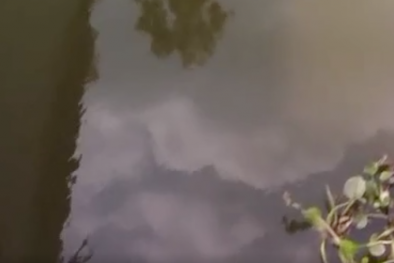 Vụ lấy nước mương thải đóng bình nước 'tinh khiết': Tiêu thụ cả ở các trường học