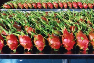 Không ngừng nâng cao năng suất chất lượng nông sản Việt