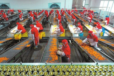 Xây dựng hệ thống nộp hồ sơ trực tuyến hỗ trợ DN xuất khẩu thực phẩm sang Hàn Quốc