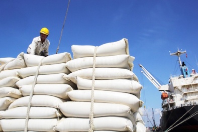 Công ty Sản xuất thương mại Lê Lời: Bí quyết hạn chế 85% rủi ro