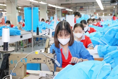 Gia hạn thời gian nộp bản trả lời vụ điều tra chống bán phá giá sợi dài làm từ polyester 