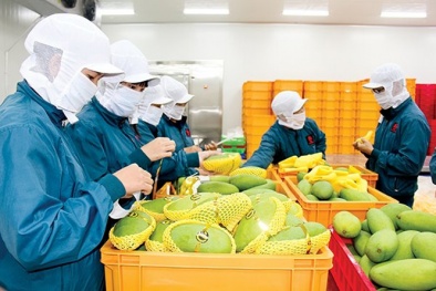 Rau quả Việt: Đa dạng thị trường với EVFTA, không đơn giản