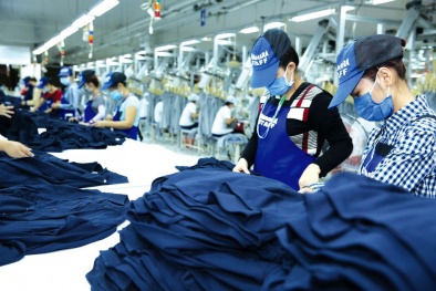 Tìm kiếm doanh nghiệp tham gia Chương trình hỗ trợ phục hồi trong và sau giai đoạn Covid-19