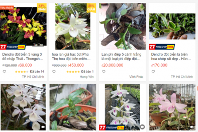 Vén màn giao dịch lan đột biến tiền tỷ trên chợ mạng