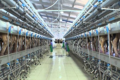 Áp dụng công nghệ 4.0, nhiều doanh nghiệp nâng cao năng suất, tăng sức cạnh tranh