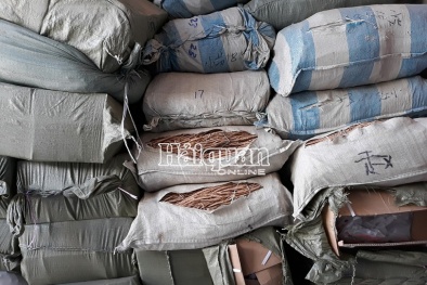 Phát hiện thảo dược nhập lậu ‘đội lốt’ củ cải, cà rốt 