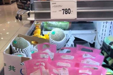 Vải thiều Lục Ngạn xuất sang Nhật: Bán chạy, giá bán lên tới 270 nghìn đồng/kg