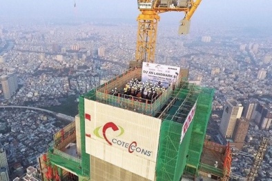 Vốn ngoại đầu tư vào DN Việt và nỗi mừng, lo sau các thương vụ M&A