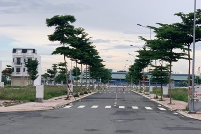  Tiêu chuẩn khắc phục hậu quả sau các thảm họa thiên nhiên