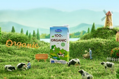 ĐHCĐ Vinamilk: Doanh thu quý 2/2020 tăng 2 chữ số so với quý 1