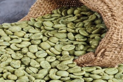 Nhu cầu nhập khẩu cà phê của thị trường Bắc Phi tăng mạnh, cơ hội cho Việt Nam