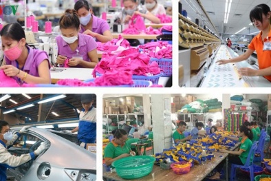 EVFTA sáng tạo tiền lệ hay và xây dựng thực tiễn tốt