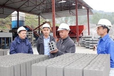 Hùng An Mai-Sơn La: Nâng cao chất lượng sản phẩm, đáp ứng kịp thời nhu cầu thị trường